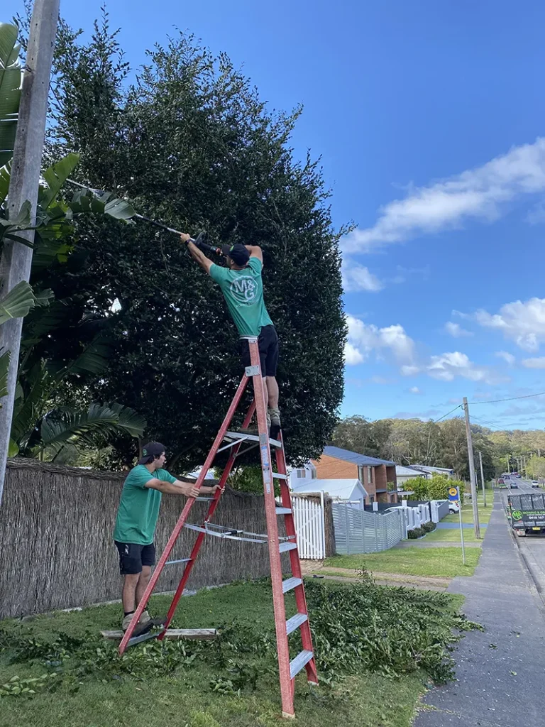 Garden maintenance central coast