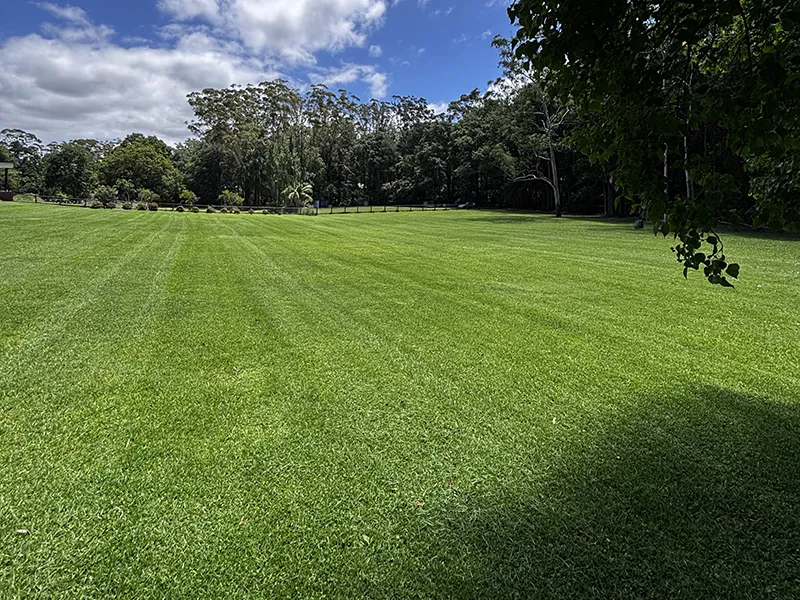 acreage mowing in Lisarow property on the Central Coast